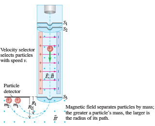 The amount of meat in prehistoric diets can be det