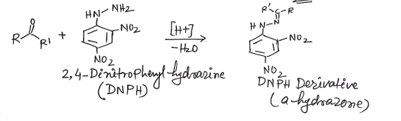 Why Doesnt The 2 4 DNPH Test Work For Carboxylic Acids WizEdu why-doesnt-the-2-4-dnph-test-work-for-carboxylic-acids-wizedu