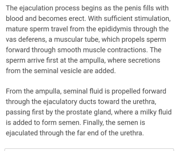 1-what-does-the-position-of-the-testis-tell-you-about-n-spermatogenesis-can-you-follow-the