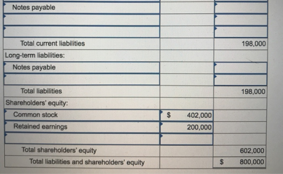 Notes payable 198,000 Total current liabilities Long-term liabilities: Notes payable 198,000 Total liabilities Shareholders