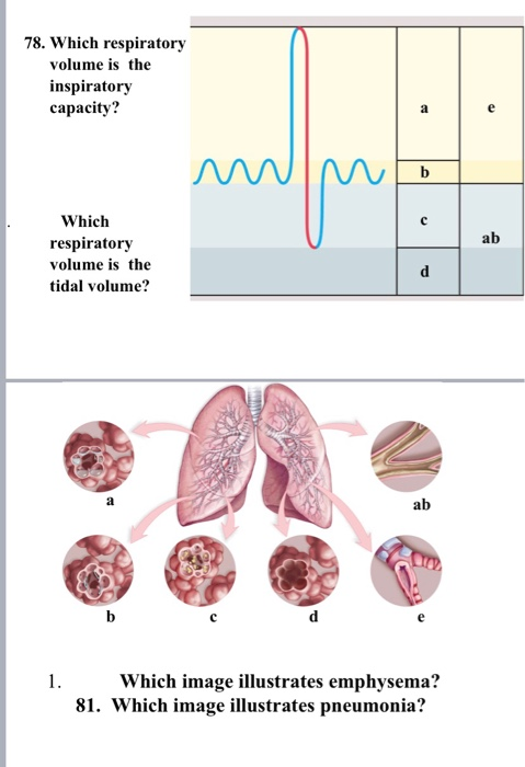 78. Which respiratory volume is the inspiratory capacity? Which respiratory volume is the tidal volume? Which image illustrat