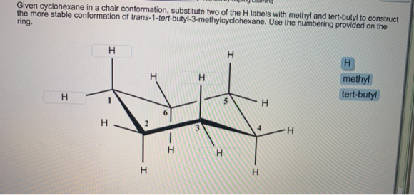 Given cyclohexane in a chair conformation, substitute two of the H labels with methyl and tert-butyl to construct the more st