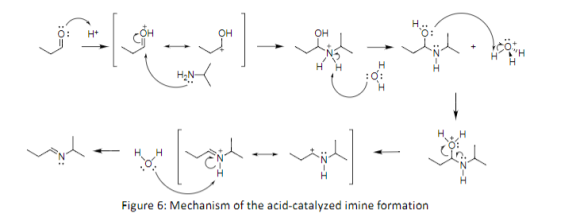 OH он CXII C) H2N C) Figure 6: Mechanism of the acid-catalyzed imine formation