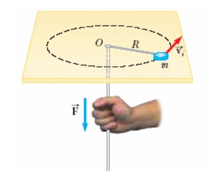 The puck in Figure 10.24 has a mass of 0.120 kg. T