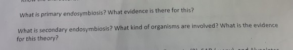 What is primary endosymbiosis? What evidence is there for this? What is secondary endosymbiosis? What kind of organisms are involved? What is the evidence for this theory?
