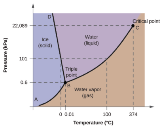 D 22,089 Critical point C Ice (solid) Water (liquid) Pressure (kPa) 101 Triple point 0.6 B Water vapor (gas) A 0 0.01 100 374