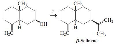 CH3 CH3 CH2 OH H H H2C CH3 B-Selinene