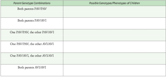 Parent Genotype Combinations Possible Genotypes/Phenotypes of Children Both parents PAVIPAV Both parents PAVIAVI One PAVIPAV, the other PAVIAVI One PAV/PAV, the other AVI/AVI One PAVIAVI, the other AVI/AVI Both parents AVI/AVI